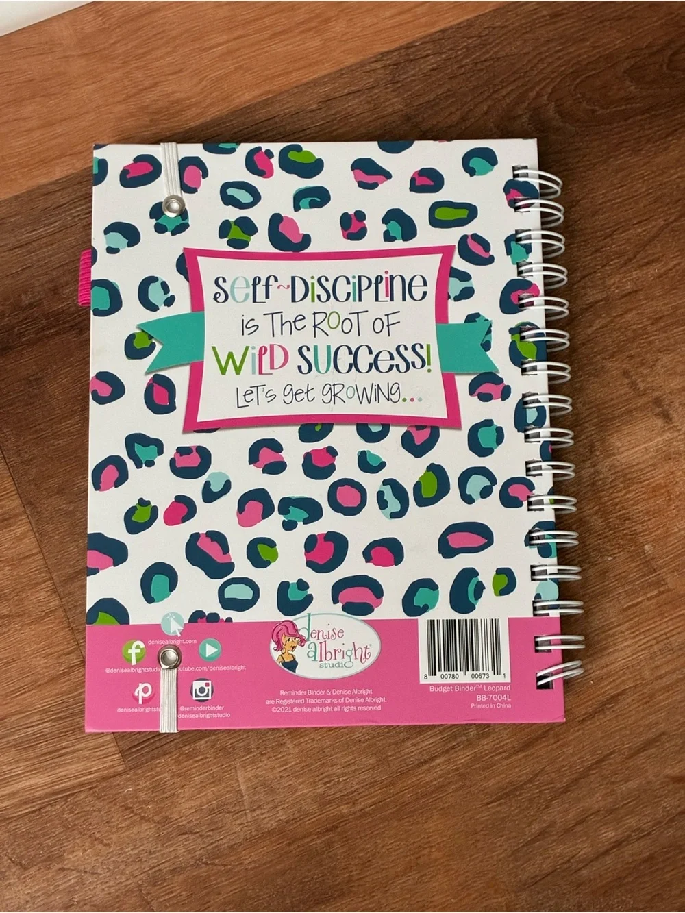 Denise Albright 12-Month Budget Planner, Bill & Expense Tracker, Undated, NWT